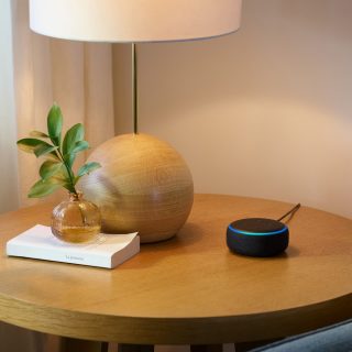 Voice control
