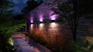 Outdoor wall lights cast a soft purple and white glow on a stone wall, illuminating a garden pathway at night.