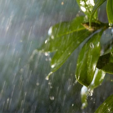 Les lightstrips extérieurs fonctionnent par tous les temps